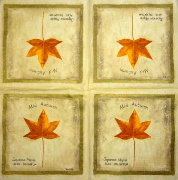 001 Pflanzen - 3 lagig - Molca